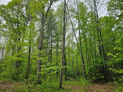 25227 Kruger Rd, Webster, WI 54893 photo 9