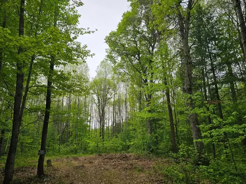 25227 Kruger Rd, Webster, WI 54893 photo 11