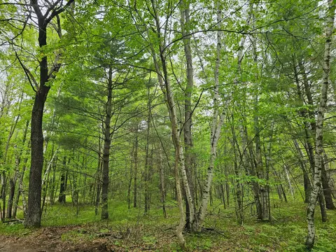 25227 Kruger Rd, Webster, WI 54893
