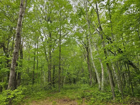 25227 Kruger Rd, Webster, WI 54893 photo 8