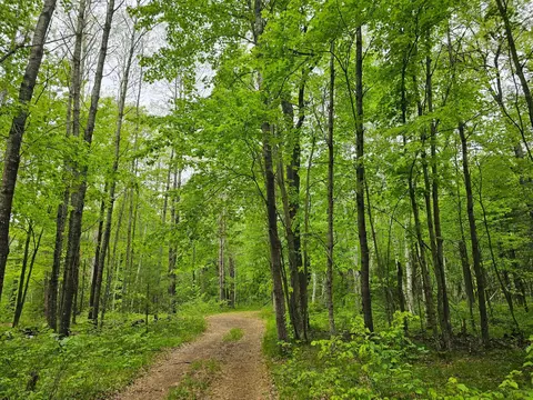 25227 Kruger Rd, Webster, WI 54893 photo 5