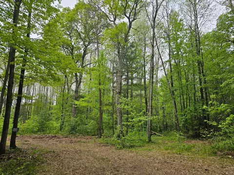 25227 Kruger Rd, Webster, WI 54893 photo 7