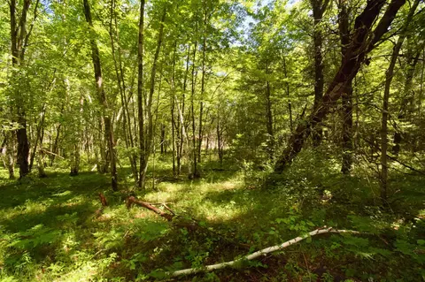 25227 Kruger Rd, Webster, WI 54893 photo 10