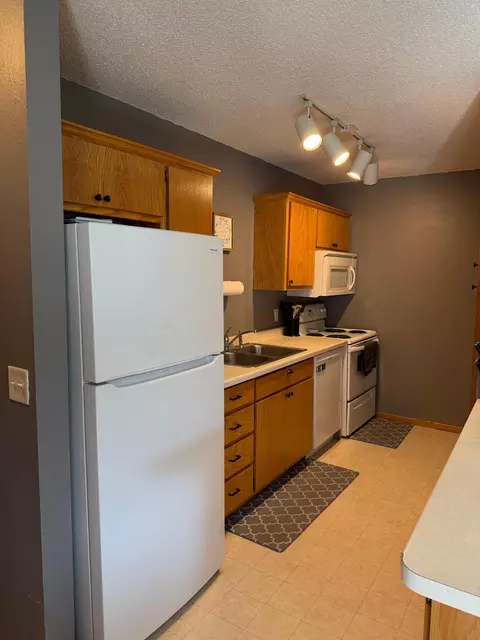 266 1st St SE, Avon, MN 56310 photo 5