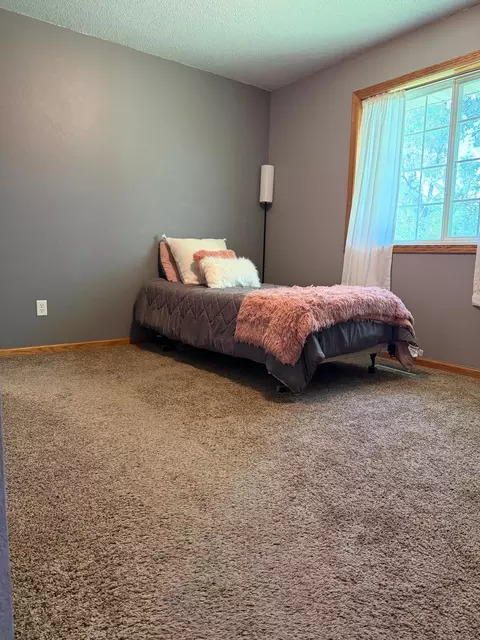 266 1st St SE, Avon, MN 56310 photo 9