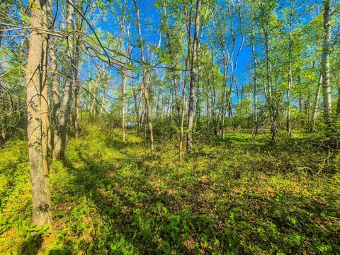 tbd Heather Trl, Nevis, MN 56467 photo 6