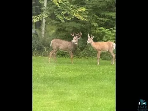 Other - 4942 Radar Rd, Hermantown, MN 55811 photo 11 of 14