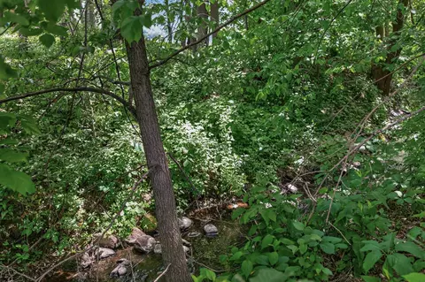 Other - 7750 Erick St, Loretto, MN 55357 photo 11 of 15