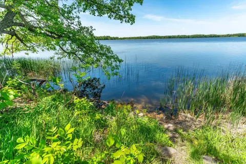 460 Th Ave, Brandon, MN 56315 photo 15
