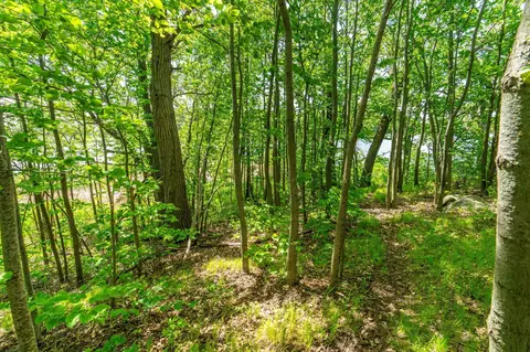 460 Th Ave, Brandon, MN 56315 photo 18