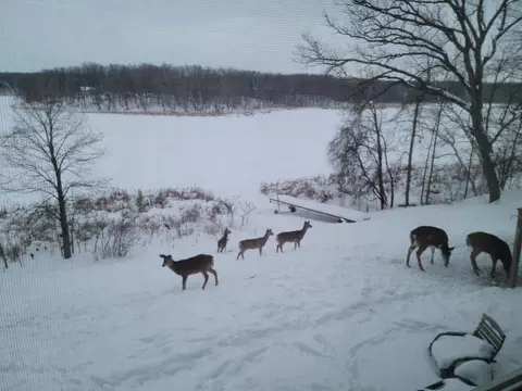 Other - 31265 Eagle Lake Rd, Frazee, MN 56544 photo 16 of 17