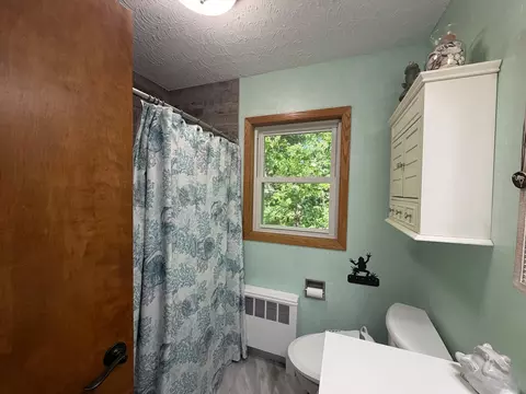 Bath - 31265 Eagle Lake Rd, Frazee, MN 56544 photo 3 of 5