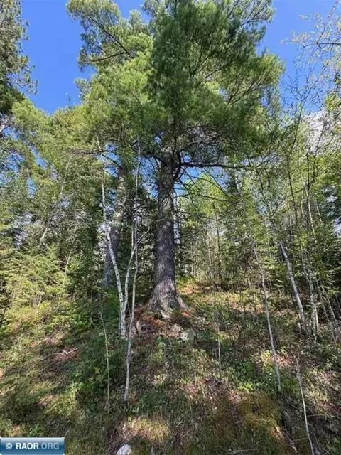 Other - 6309 Winston Rd, Tower, MN 55790 photo 11 of 12