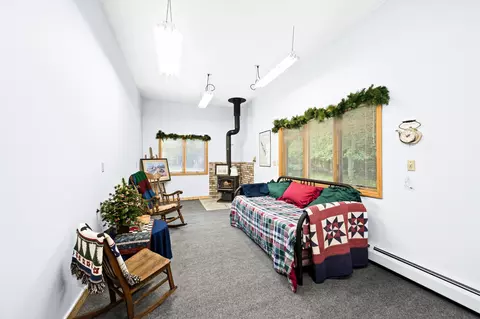 Other - 51301 Pine Point Rd, Bigfork, MN 56628 photo 5 of 20