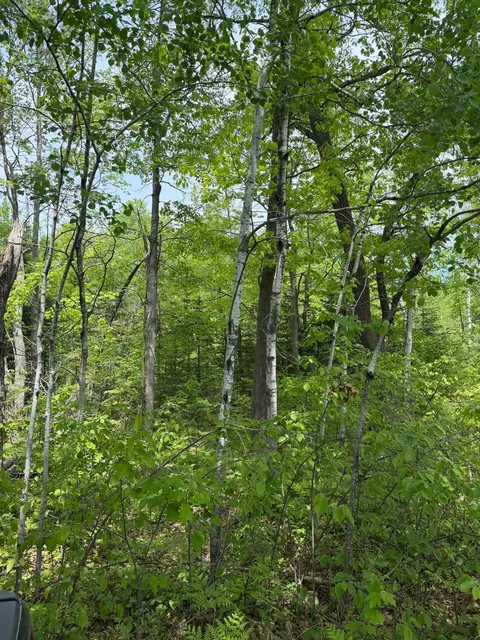 tbd Range Line Rd, Kerrick, MN 55756 photo 3