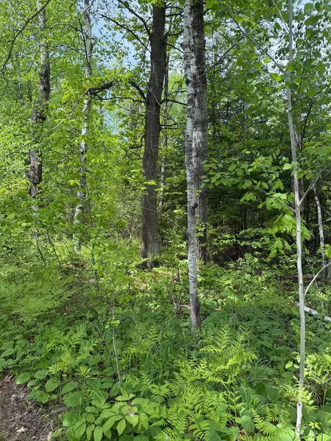 tbd Range Line Rd, Kerrick, MN 55756 photo 5