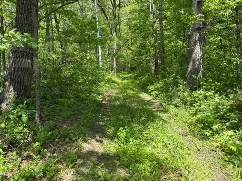 tbd 226th, Mcgregor, MN 56431 photo 13