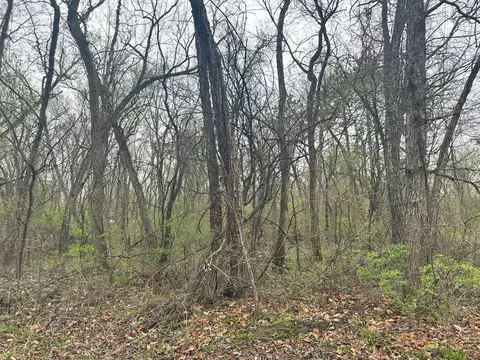 lot0 Catfish Dr, Trempealeau, WI 54661