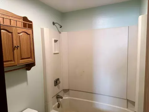 Bath - 8215 292nd St E, Randolph, MN 55065 photo 4 of 4