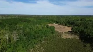 tbd County 4, Park Rapids, MN 56470