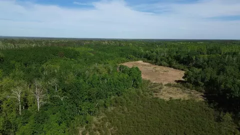 tbd County 4, Park Rapids, MN 56470