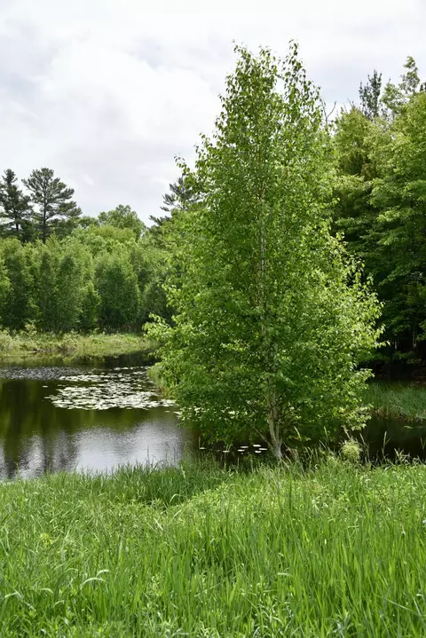 View/Area - 20692 Keystone Rd, Milaca, MN 56353 photo 10 of 19