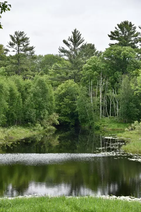 View/Area - 20692 Keystone Rd, Milaca, MN 56353 photo 5 of 19