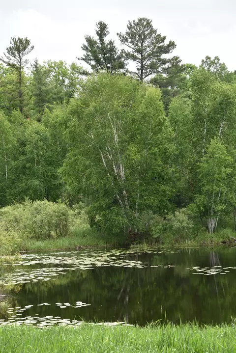View/Area - 20692 Keystone Rd, Milaca, MN 56353 photo 6 of 19