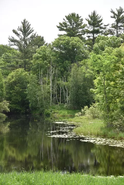 View/Area - 20692 Keystone Rd, Milaca, MN 56353 photo 3 of 19