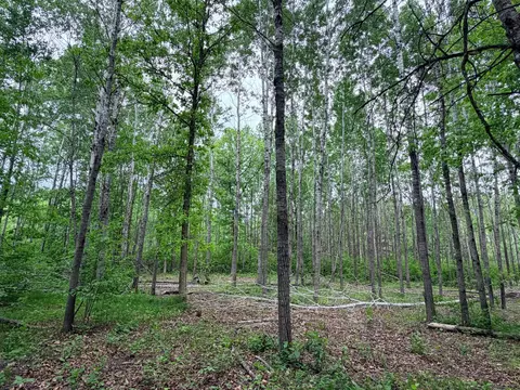 tbd Half Moon Rd, Park Rapids, MN 56470 photo 4