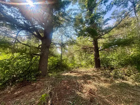 tbd Half Moon Rd, Park Rapids, MN 56470 photo 6