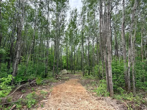 tbd Half Moon Rd, Park Rapids, MN 56470 photo 11