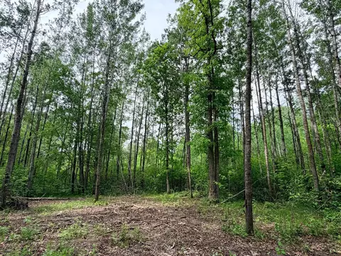 tbd Half Moon Rd, Park Rapids, MN 56470 photo 3