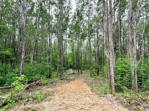 tbd Half Moon Rd, Park Rapids, MN 56470 photo 5
