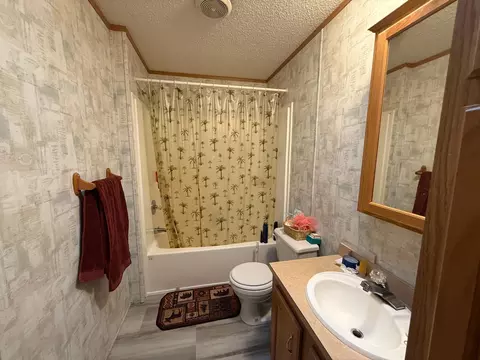 Bath - 14701 Chokecherry Dr, Nevis, MN 56467 photo 2 of 2