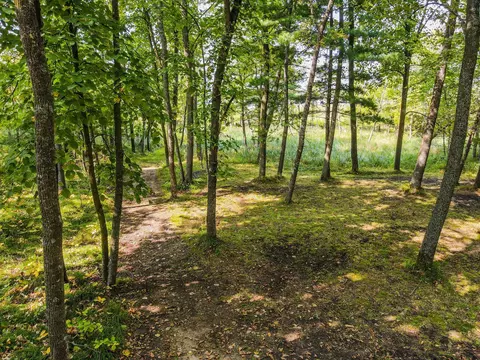 Other - 14701 Chokecherry Dr, Nevis, MN 56467 photo 11 of 11