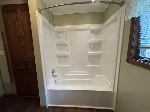 Bath - 338 Abbott St W, Eagle Bend, MN 56446 photo 4 of 5