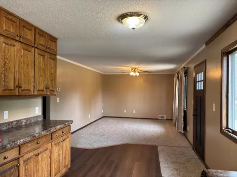 Living - 338 Abbott St W, Eagle Bend, MN 56446 photo 1 of 6