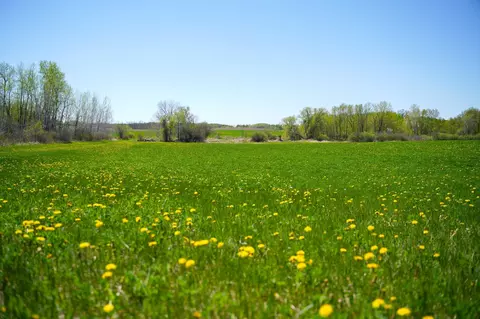 tbd 140th St, Frazee, MN 56544 photo 55