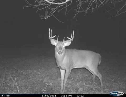 tbd 140th St, Frazee, MN 56544 photo 130