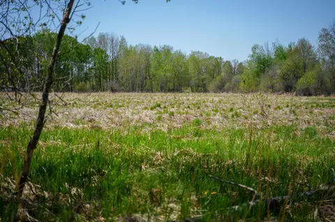tbd 140th St, Frazee, MN 56544 photo 70