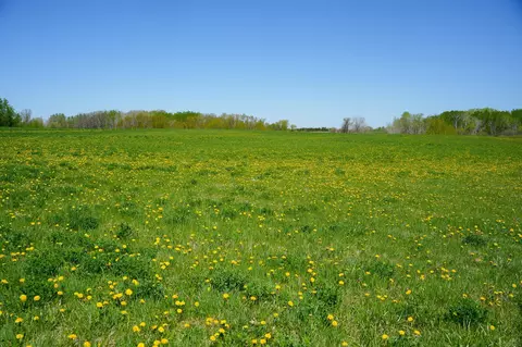 tbd 140th St, Frazee, MN 56544 photo 49