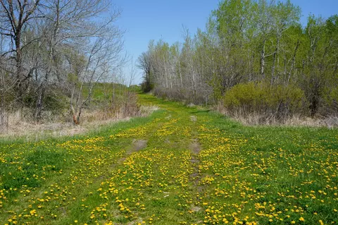 tbd 140th St, Frazee, MN 56544 photo 52
