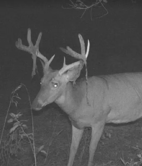 tbd 140th St, Frazee, MN 56544 photo 127