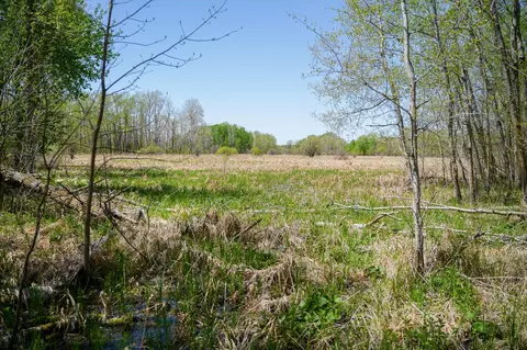 tbd 140th St, Frazee, MN 56544 photo 74