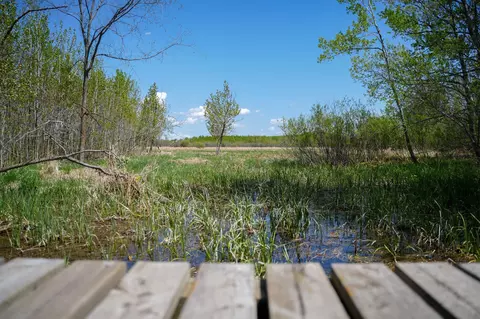 tbd 140th St, Frazee, MN 56544 photo 92
