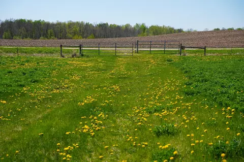 tbd 140th St, Frazee, MN 56544 photo 51