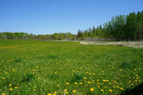 tbd 140th St, Frazee, MN 56544 photo 50