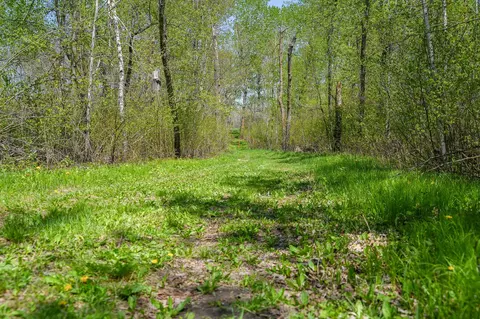 tbd 140th St, Frazee, MN 56544 photo 80