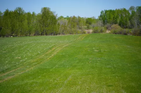 tbd 140th St, Frazee, MN 56544 photo 61